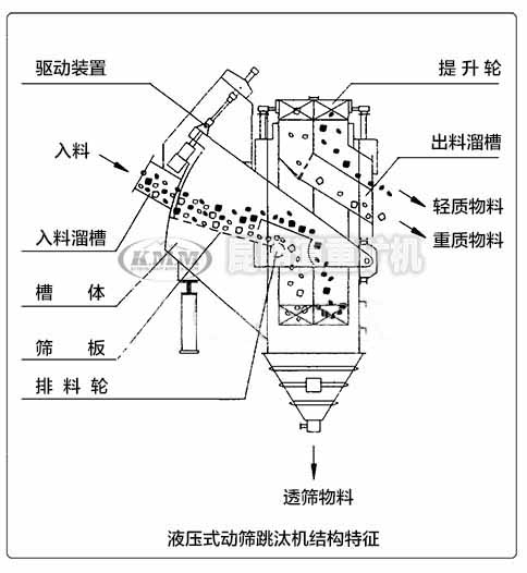 液壓式跳汰機內(nèi)部結(jié)構(gòu)特征示意圖